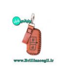 کاور سوئیچ آریو