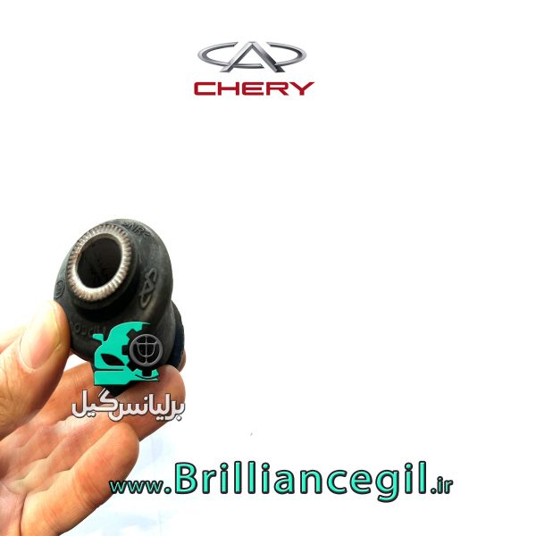 خرید بوش طبق كوچك ام وي ام 315